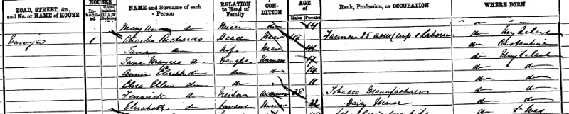 Entry in 1871 census