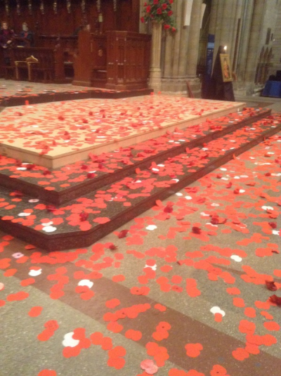 Poppies lying on the floor of Truro Cathedral